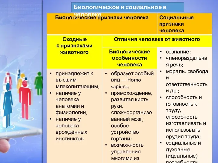 Биологическое и социальное в человеке