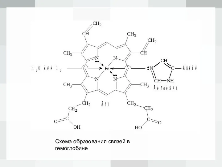 Схема образования связей в гемоглобине