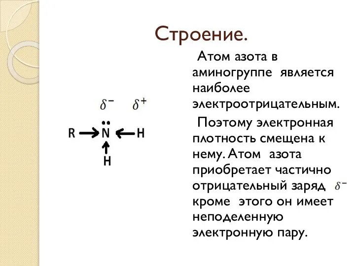 Строение. Атом азота в аминогруппе является наиболее электроотрицательным. Поэтому электронная плотность смещена