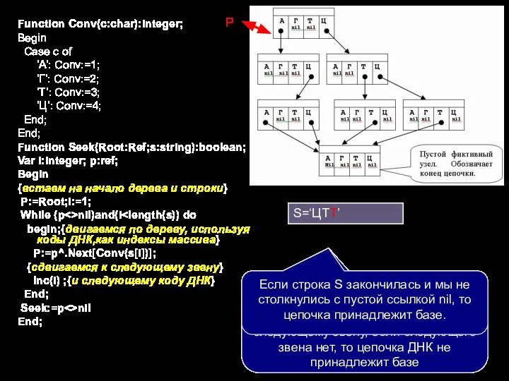 Function Conv(c:char):integer; Begin Case c of ‘A’: Conv:=1; ‘Г’: Conv:=2; ‘Т’: Conv:=3;