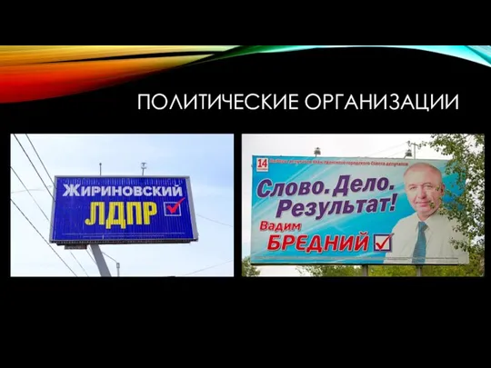 ПОЛИТИЧЕСКИЕ ОРГАНИЗАЦИИ