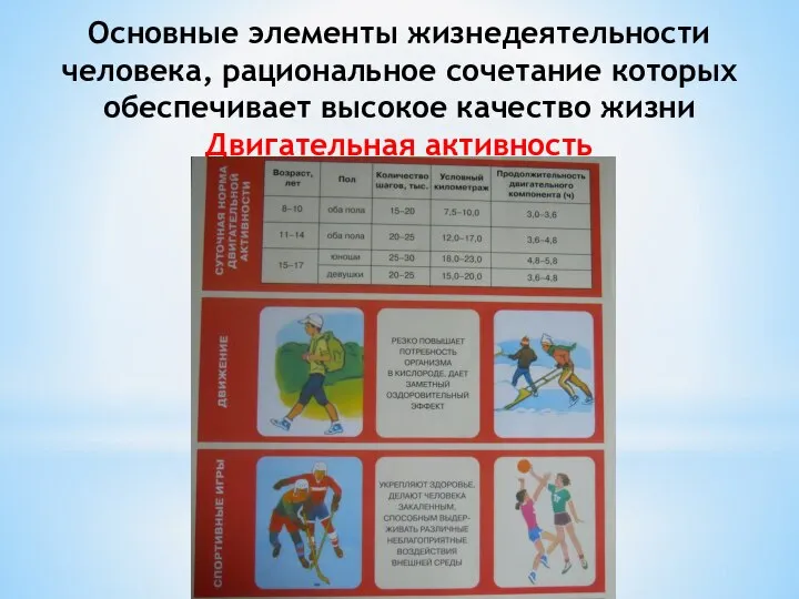 Основные элементы жизнедеятельности человека, рациональное сочетание которых обеспечивает высокое качество жизни Двигательная активность