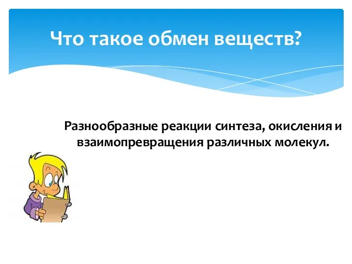 Что такое обмен веществ? Разнообразные реакции синтеза, окисления и взаимопревращения различных молекул.