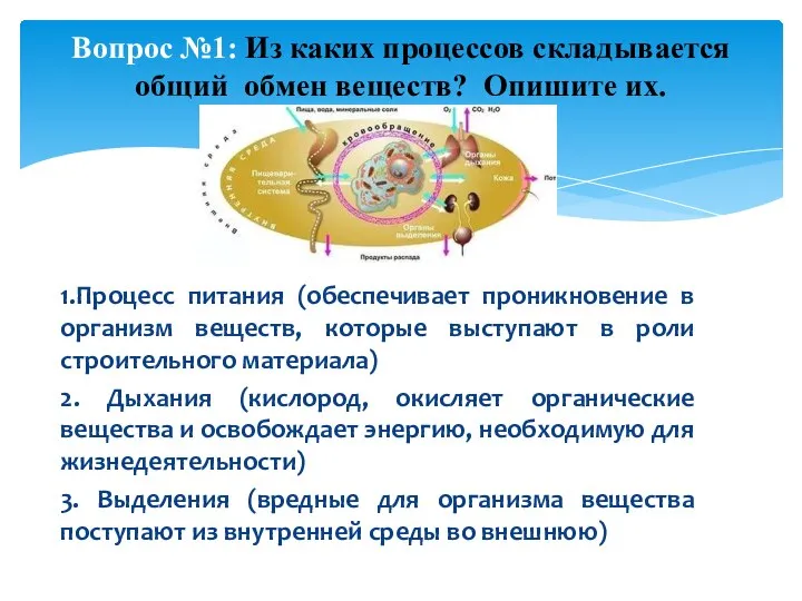 1.Процесс питания (обеспечивает проникновение в организм веществ, которые выступают в роли строительного