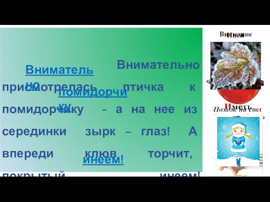 Внимательно присмотрелась птичка к помидорчику - а на нее из серединки зырк