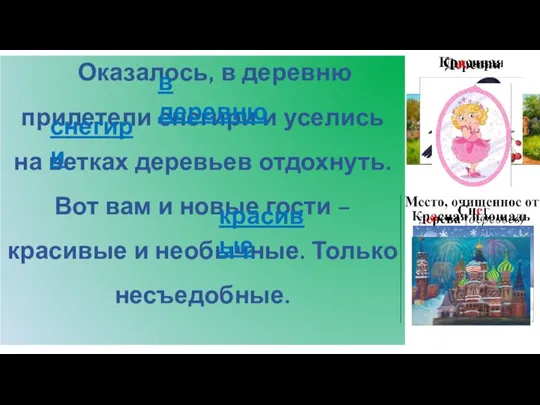 Оказалось, в деревню прилетели снегири и уселись на ветках деревьев отдохнуть. Вот