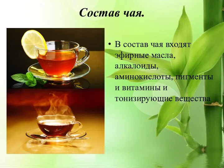 Состав чая. В состав чая входят эфирные масла, алкалоиды, аминокислоты, пигменты и витамины и тонизирующие вещества
