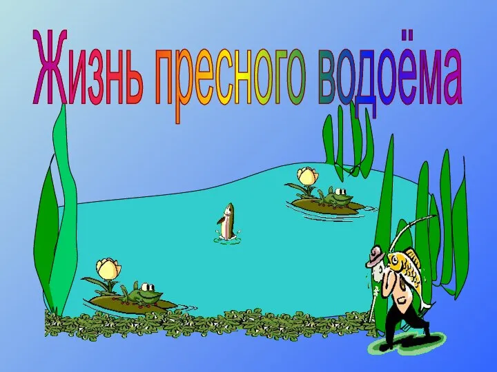 Жизнь пресного водоёма