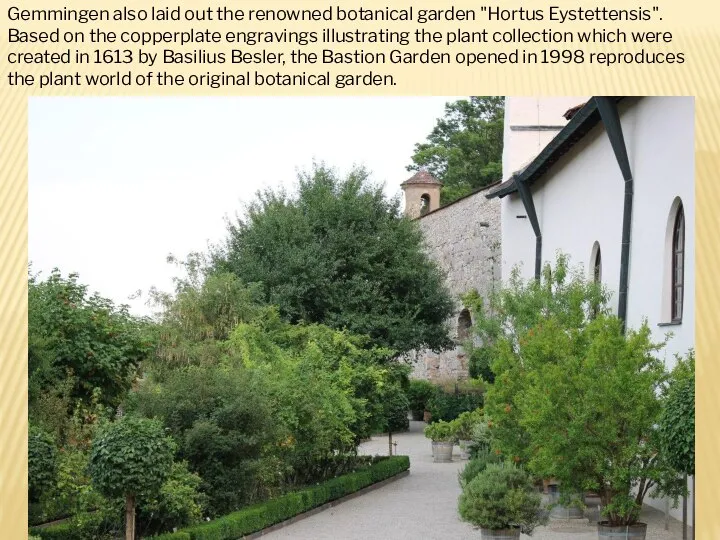Gemmingen also laid out the renowned botanical garden "Hortus Eystettensis". Based on