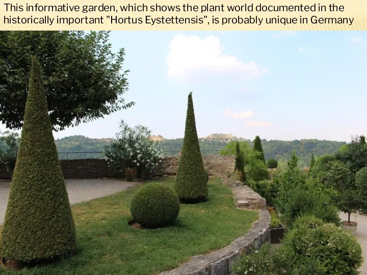 This informative garden, which shows the plant world documented in the historically