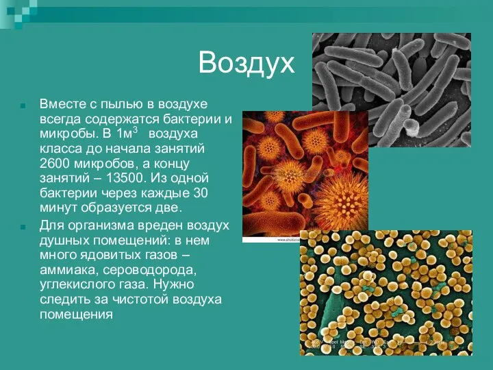 Воздух Вместе с пылью в воздухе всегда содержатся бактерии и микробы. В