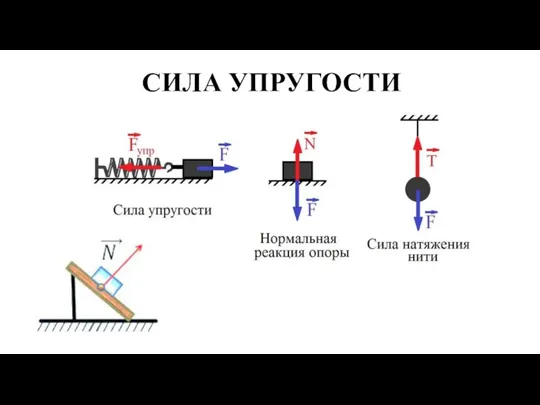 СИЛА УПРУГОСТИ