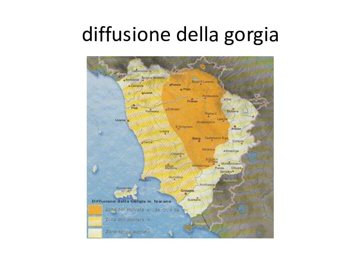 diffusione della gorgia