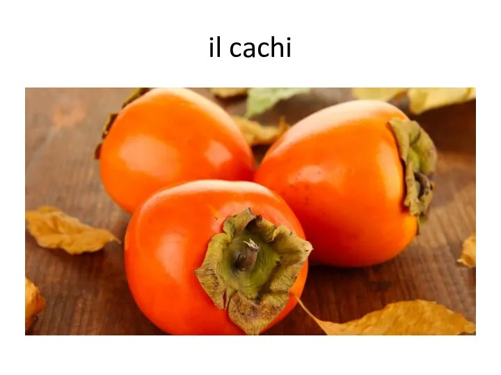 il cachi