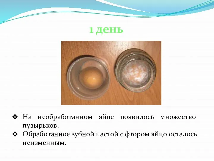 На необработанном яйце появилось множество пузырьков. Обработанное зубной пастой с фтором яйцо осталось неизменным. 1 день