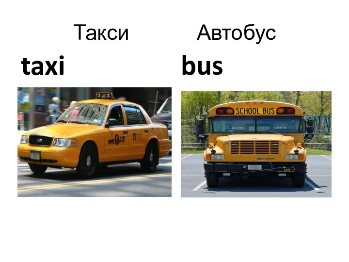 Такси Автобус taxi bus