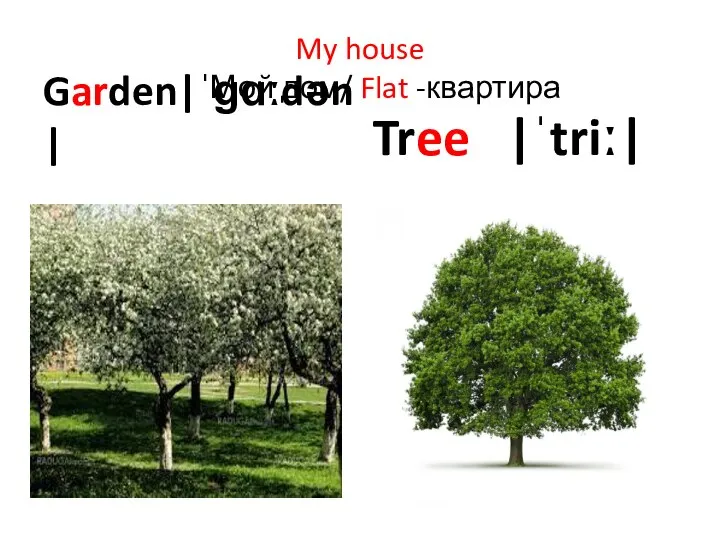 My house Мой дом/ Flat -квартира Garden|ˈɡɑːdən| Tree |ˈtriː|