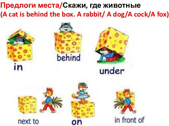 Предлоги места/Скажи, где животные (A cat is behind the box. A rabbit/ A dog/A cock/A fox)