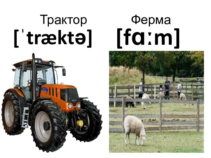 Трактор Ферма [ˈtræktə] [fɑːm]