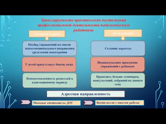 Транслируемость практических достижений профессиональной деятельности педагогического работника Трудности и риски Пути решения