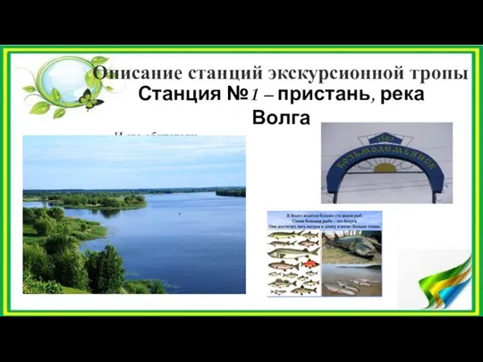 Описание станций экскурсионной тропы Станция №1 – пристань, река Волга И его обитатели…