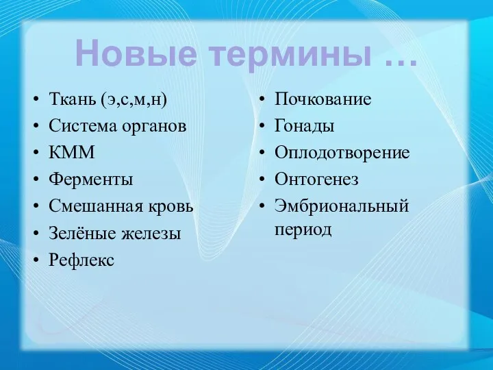 Ткань (э,с,м,н) Система органов КММ Ферменты Смешанная кровь Зелёные железы Рефлекс Почкование