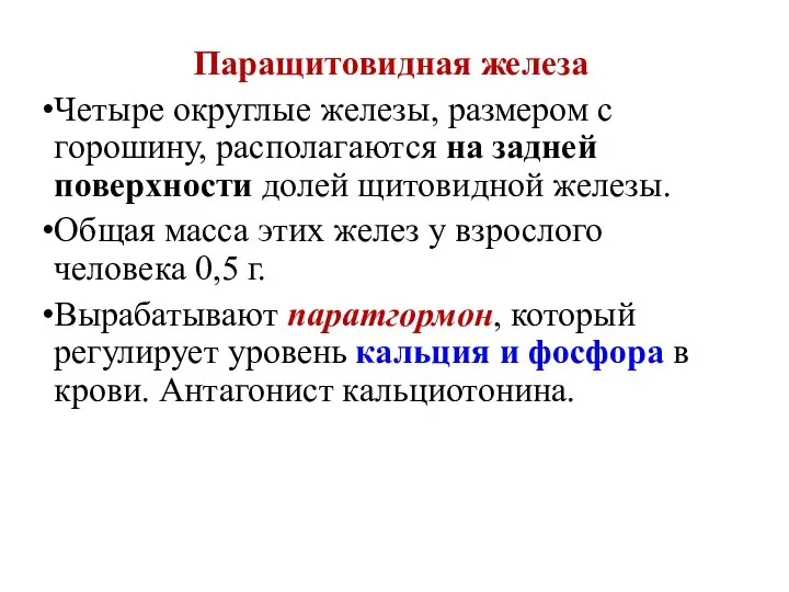 Паращитовидная железа Четыре округлые железы, размером с горошину, располагаются на задней поверхности