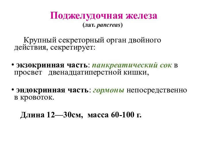 Поджелудочная железа (лат. pancreas) Крупный секреторный орган двойного действия, секретирует: экзокринная часть: