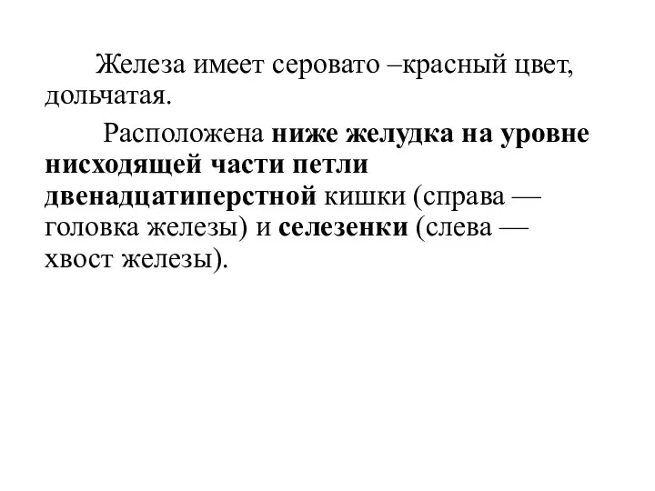 Железа имеет серовато –красный цвет, дольчатая. Расположена ниже желудка на уровне нисходящей