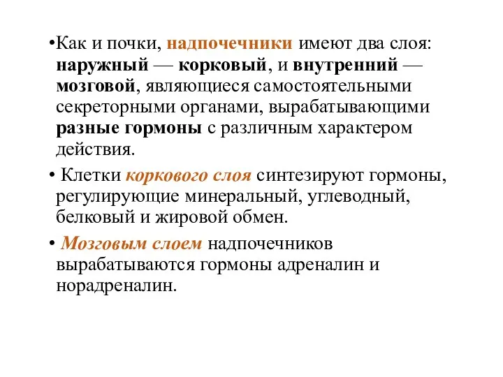 Как и почки, надпочечники имеют два слоя: наружный — корковый, и внутренний