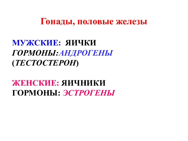 Гонады, половые железы МУЖСКИЕ: ЯИЧКИ ГОРМОНЫ:АНДРОГЕНЫ (ТЕСТОСТЕРОН) ЖЕНСКИЕ: ЯИЧНИКИ ГОРМОНЫ: ЭСТРОГЕНЫ