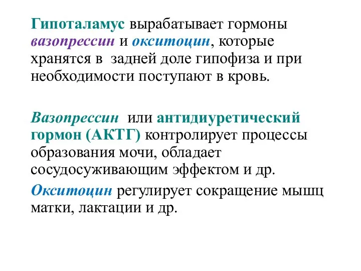 Гипоталамус вырабатывает гормоны вазопрессин и окситоцин, которые хранятся в задней доле гипофиза