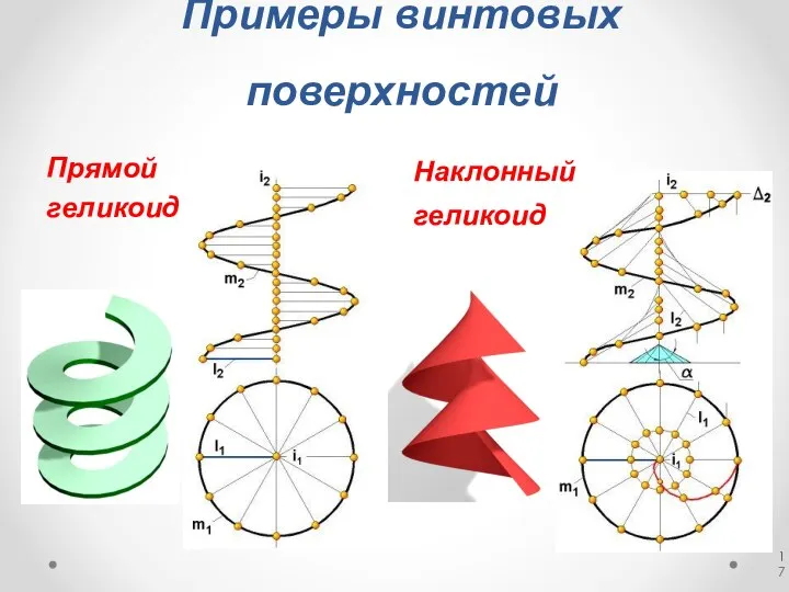Примеры винтовых поверхностей Прямой геликоид Наклонный геликоид