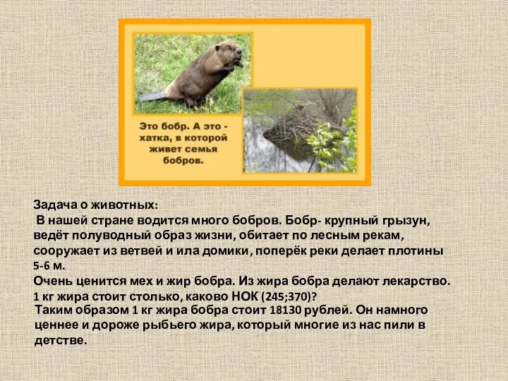 Задача о животных: В нашей стране водится много бобров. Бобр- крупный грызун,