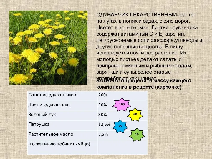 ОДУВАНЧИК ЛЕКАРСТВЕННЫЙ- растёт на лугах, в полях и садах, около дорог. Цветёт