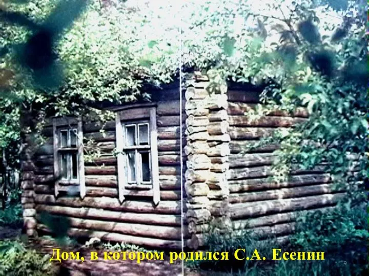 Дом, в котором родился С.А. Есенин