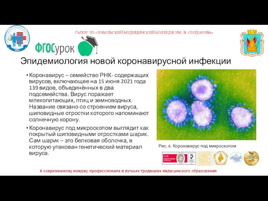 Эпидемиология новой коронавирусной инфекции Коронавирус – семейство РНК- содержащих вирусов, включающее на