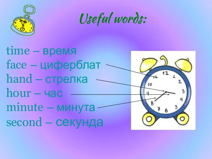 time – время face – циферблат hand – стрелка hour – час