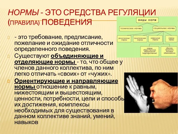 НОРМЫ - ЭТО СРЕДСТВА РЕГУЛЯЦИИ (ПРАВИЛА) ПОВЕДЕНИЯ - это требование, предписание, пожелание