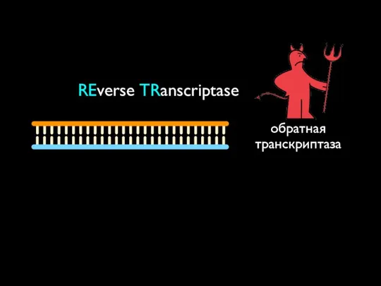 обратная транскриптаза REverse TRanscriptase