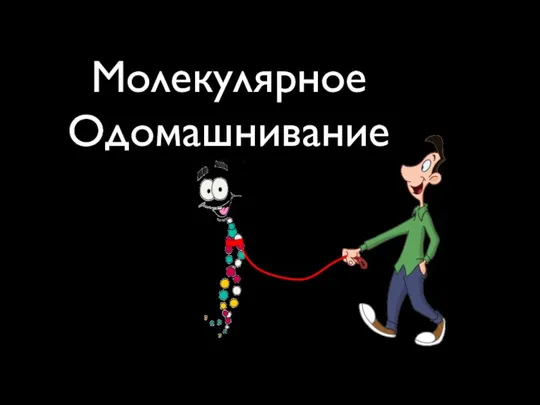 Молекулярное Одомашнивание