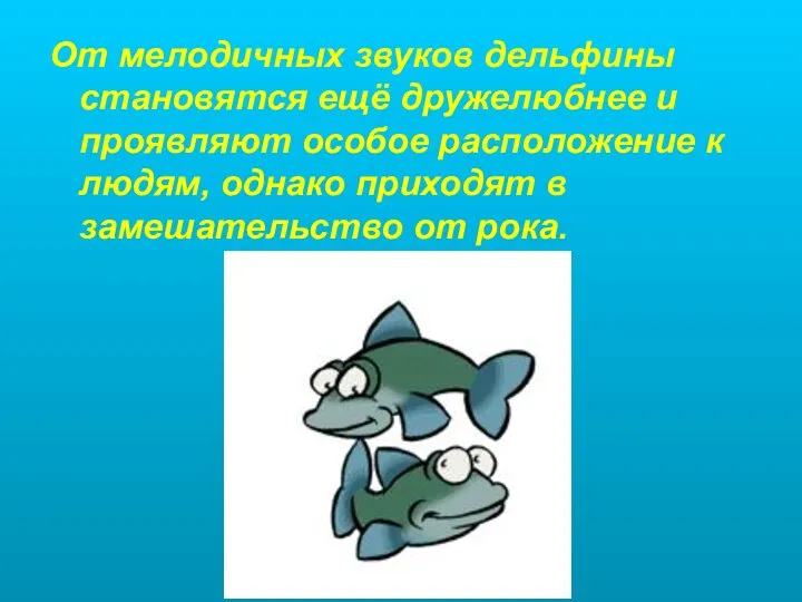 От мелодичных звуков дельфины становятся ещё дружелюбнее и проявляют особое расположение к