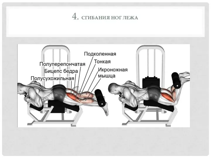 4. СГИБАНИЯ НОГ ЛЕЖА