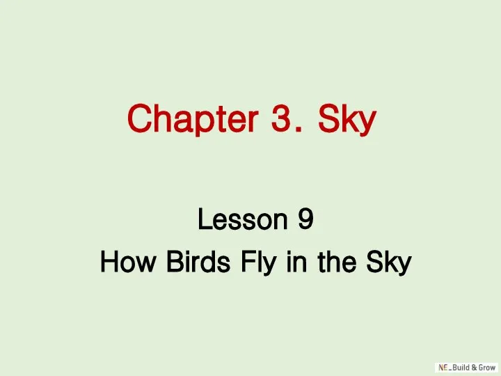 Chapter 3. Sky Lesson 9 How Birds Fly in the Sky