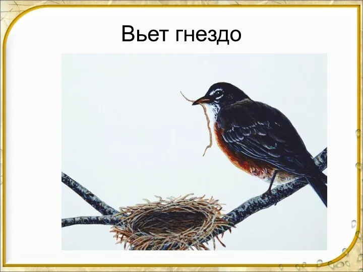 Вьет гнездо