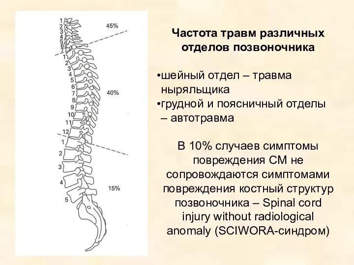 Частота травм различных отделов позвоночника шейный отдел – травма ныряльщика грудной и