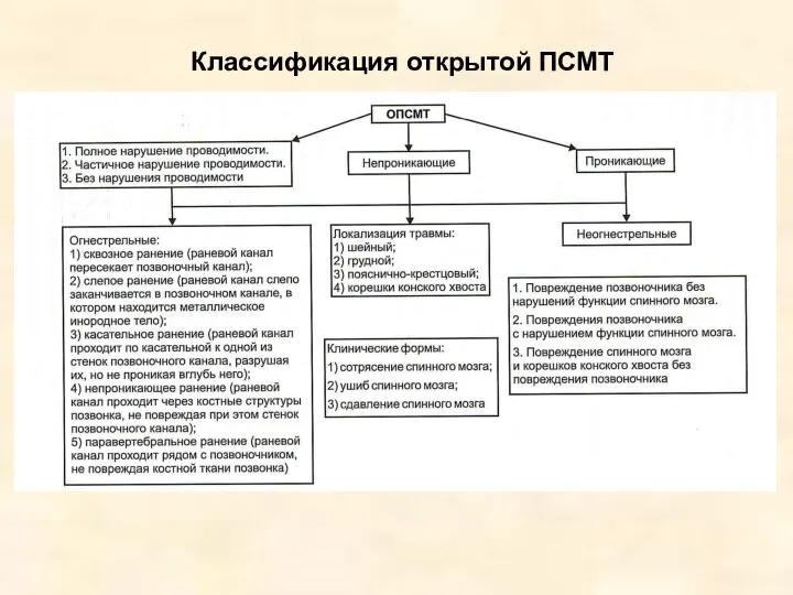 Классификация открытой ПСМТ