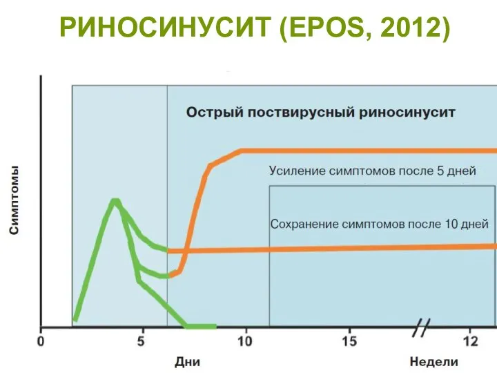 РИНОСИНУСИТ (EPOS, 2012)