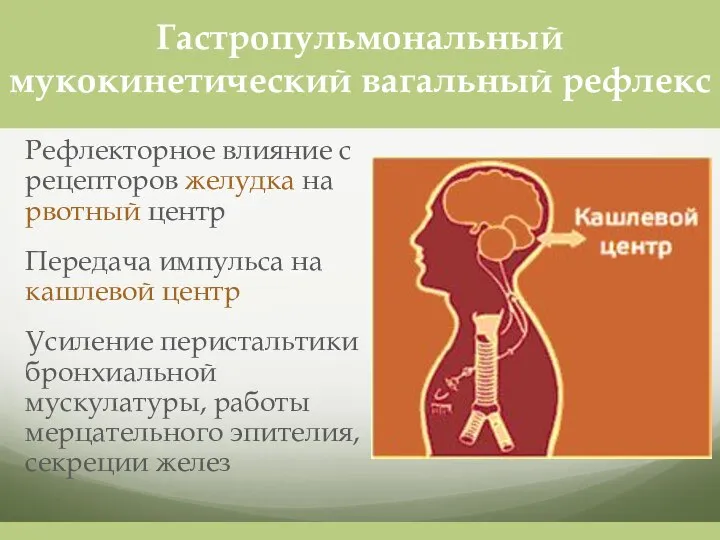 Рефлекторное влияние с рецепторов желудка на рвотный центр Передача импульса на кашлевой