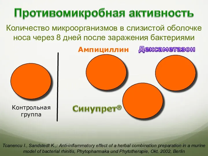 Ампициллин Количество микроорганизмов в слизистой оболочке носа через 8 дней после заражения